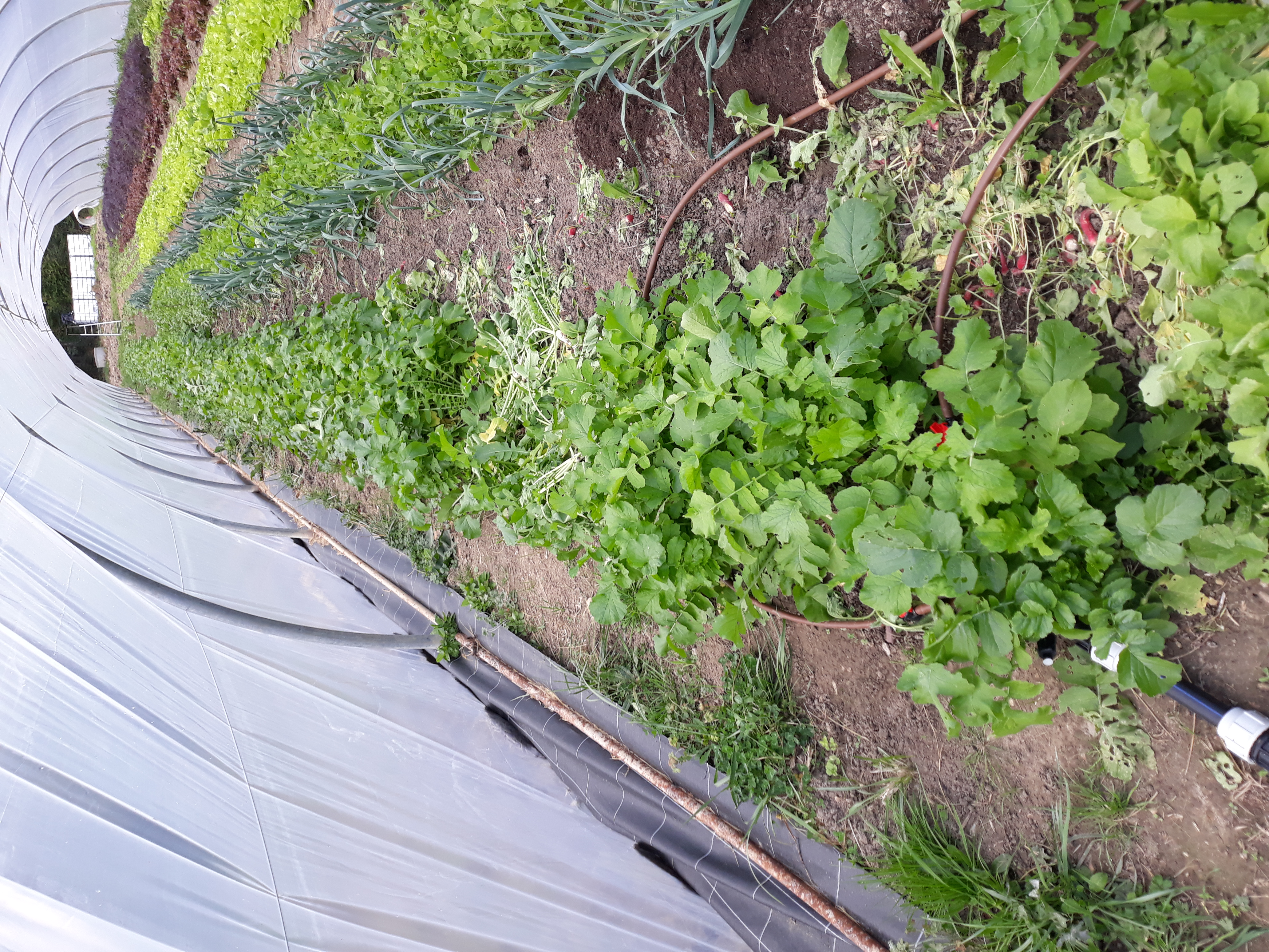 Photo 1 de l'exploitation