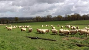 Photo 1 de l'exploitation