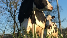 Photo 1 de l'exploitation