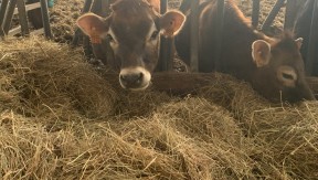 Photo 2 de l'exploitation