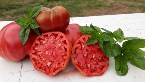 Photo 2 de l'exploitation