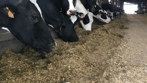 Photo 2 de l'exploitation