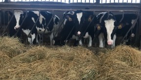 Photo 3 de l'exploitation