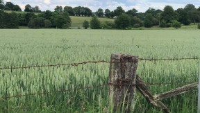 Photo 4 de l'exploitation