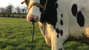 Photo 1 de l'exploitation