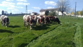 Photo 1 de l'exploitation