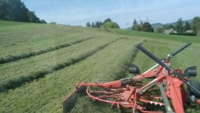 Photo 4 de l'exploitation