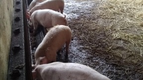 Photo 6 de l'exploitation