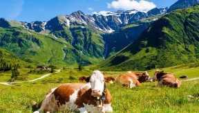 Photo 2 de l'exploitation