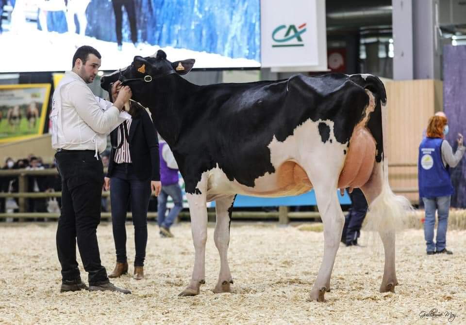 Photo 2 de l'exploitation