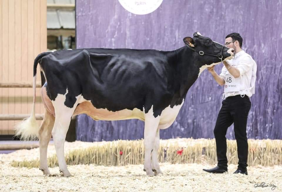 Photo 3 de l'exploitation