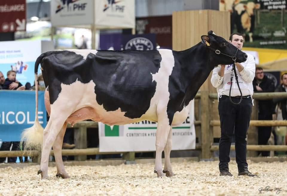 Photo 4 de l'exploitation