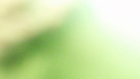 Photo 1 de l'exploitation