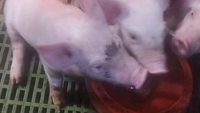 Photo 1 de l'exploitation