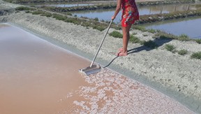 Photo 1 de l'exploitation