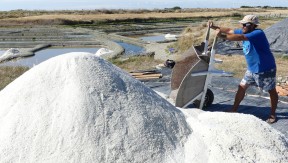 Photo 2 de l'exploitation