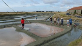 Photo 3 de l'exploitation