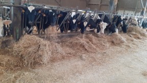 Photo 1 de l'exploitation