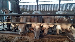 Photo 2 de l'exploitation