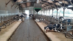 Photo 5 de l'exploitation