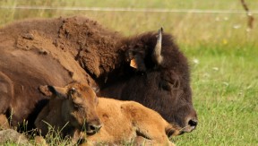 Photo 1 de l'exploitation