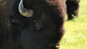 Photo 2 de l'exploitation