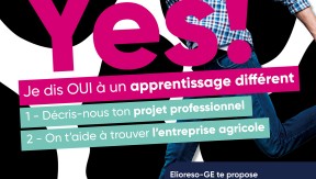 Photo 2 de l'entreprise