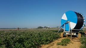 Photo 2 de l'exploitation