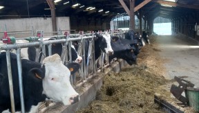 Photo 3 de l'entreprise