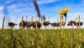 Photo 1 de l'exploitation