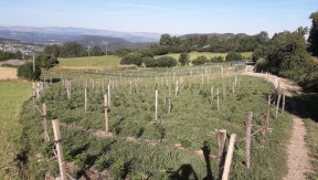 Photo 1 de l'exploitation