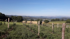 Photo 3 de l'exploitation