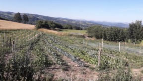 Photo 4 de l'exploitation