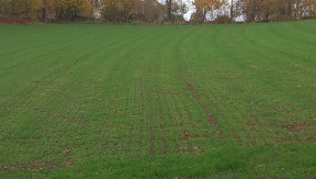 Photo 5 de l'exploitation