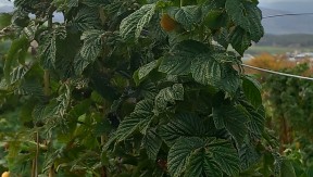 Photo 2 de l'exploitation