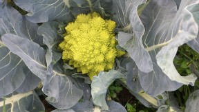 Photo 8 de l'exploitation