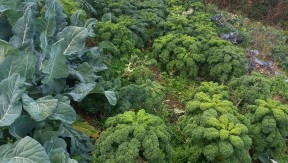 Photo 10 de l'exploitation