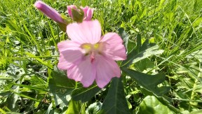 Photo 11 de l'exploitation