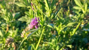 Photo 12 de l'exploitation