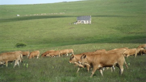 Photo 1 de l'exploitation