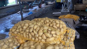 Photo 2 de l'exploitation