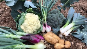 Photo 3 de l'exploitation