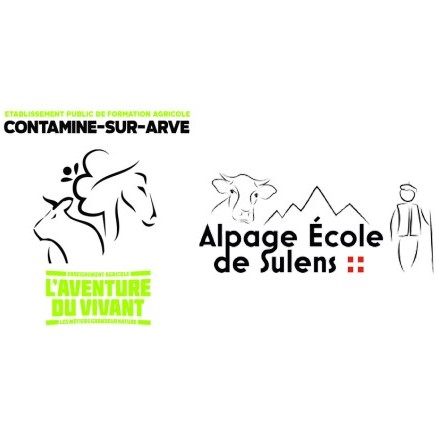 Photo 1 de l'entreprise