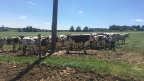 Photo 1 de l'exploitation