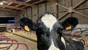 Photo 1 de l'exploitation