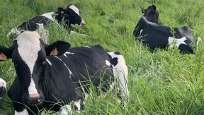 Photo 2 de l'exploitation