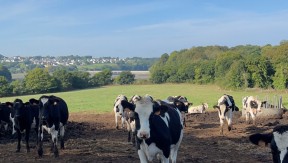 Photo 3 de l'exploitation