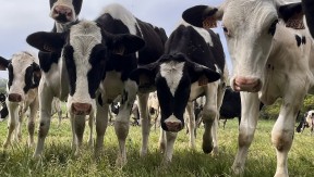 Photo 4 de l'exploitation