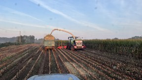 Photo 5 de l'exploitation