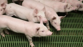 Photo 6 de l'exploitation